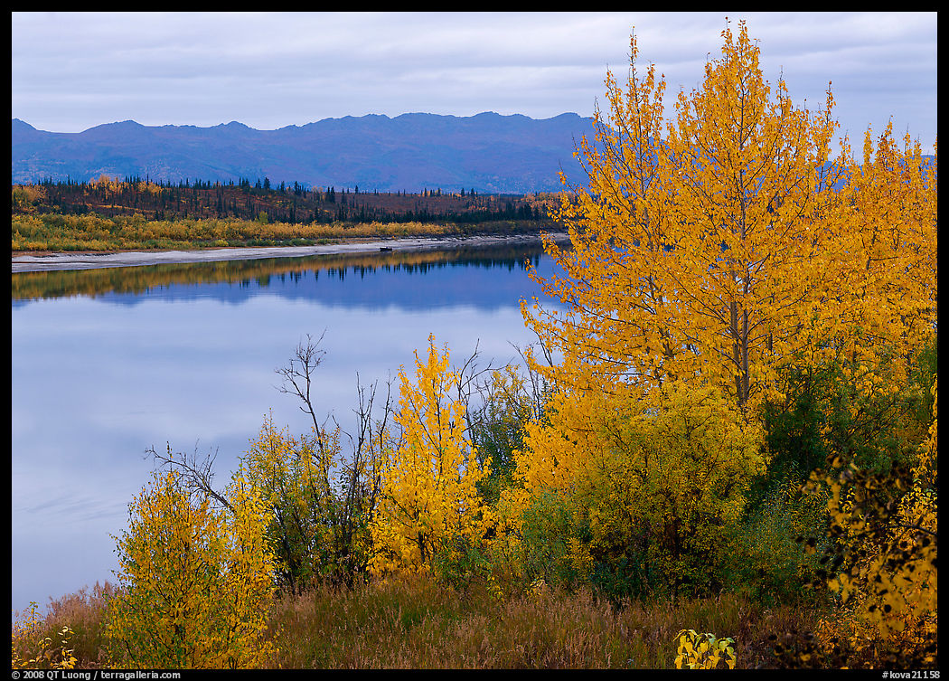 River, Warring Mountains, and fall colors at Onion Portage. Kobuk Valley National Park, Alaska, USA.