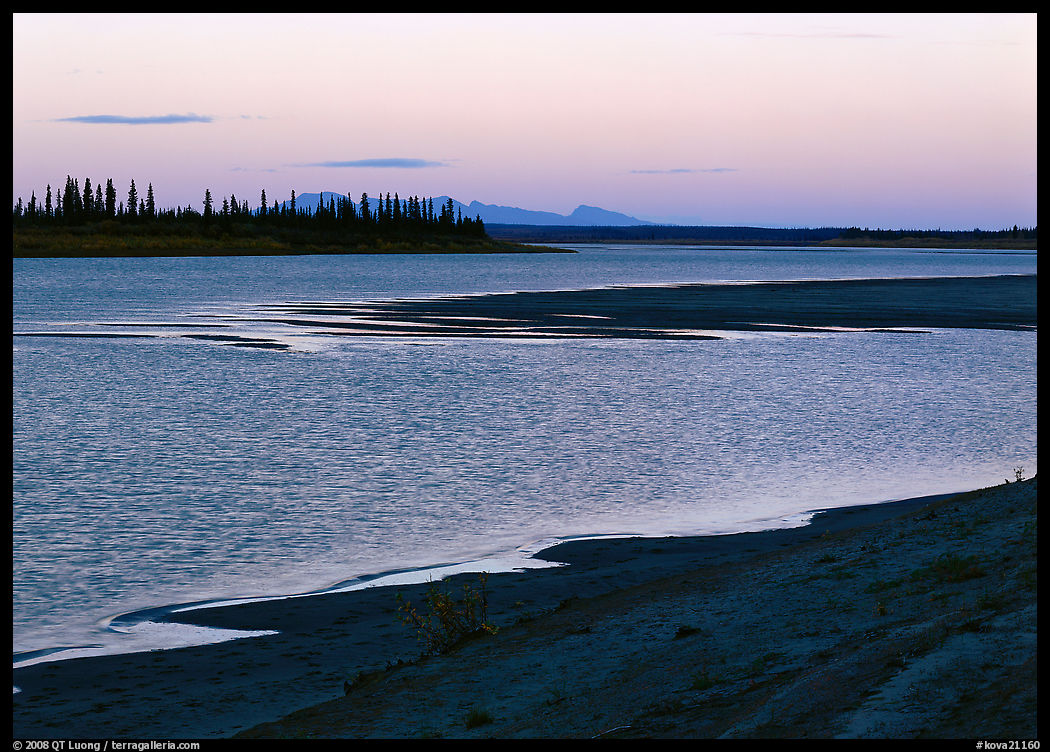 Sand bar shore, river, row of spruce trees,  and Baird mountains, evening. Kobuk Valley National Park, Alaska, USA.
