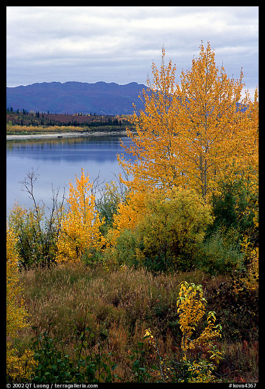 Kobuk River, Warring Mountains, and autumn colors, Onion Portage. Kobuk Valley National Park