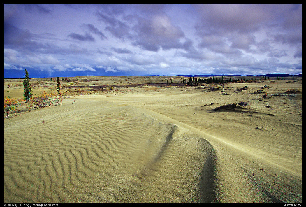 Ripples in the Great Sand Dunes. Kobuk Valley National Park, Alaska, USA.