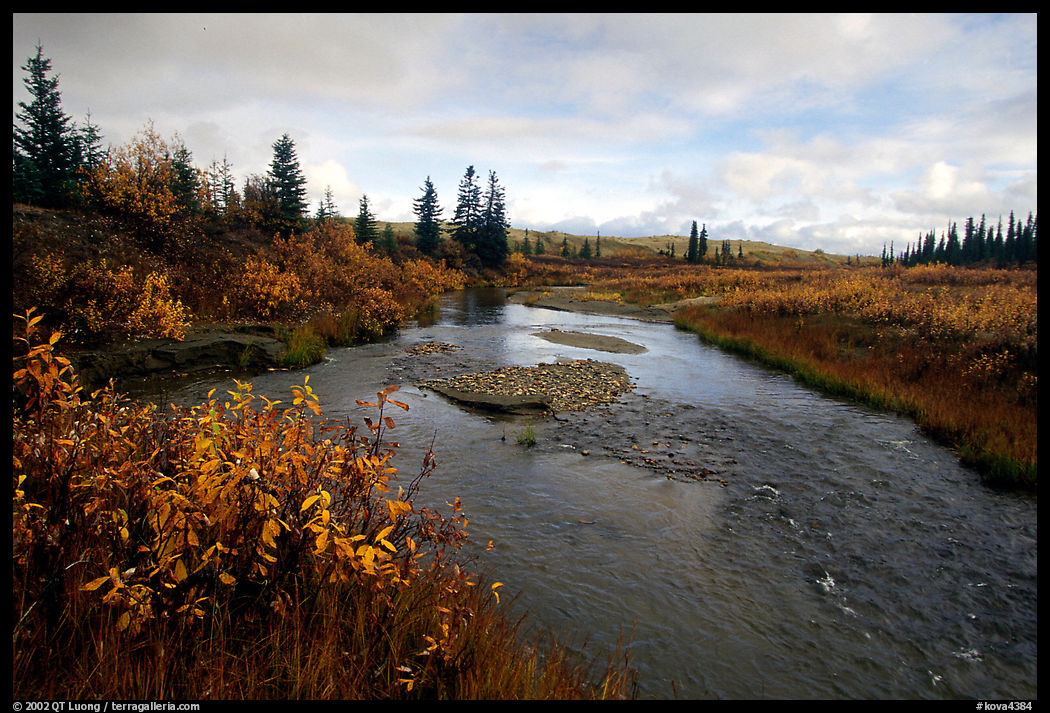 Kavet Creek, with the Great Sand Dunes in the background. Kobuk Valley National Park, Alaska, USA.