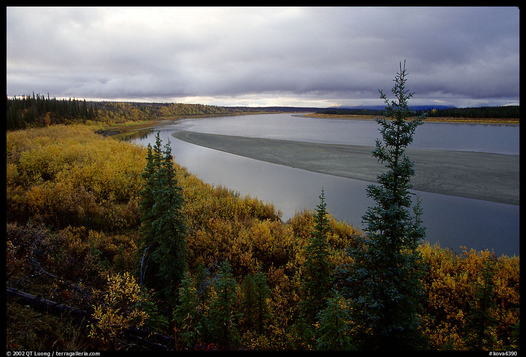 Bend of Kobuk River and sand bar, evening. Kobuk Valley National Park, Alaska, USA.