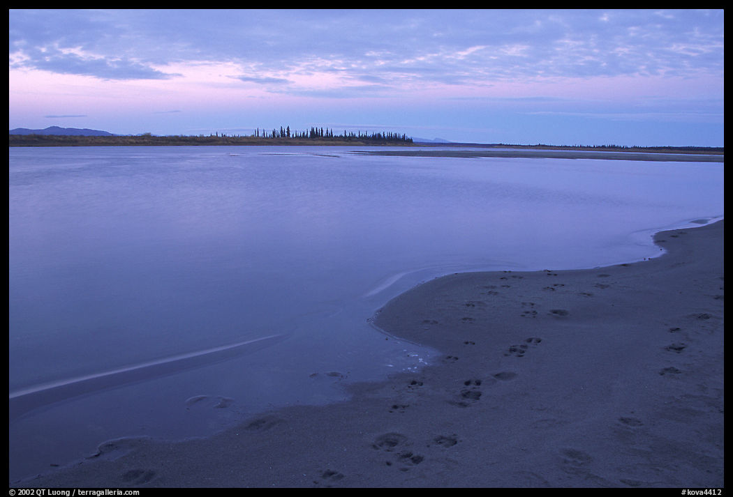 Sand bar shore with caribou tracks, evening. Kobuk Valley National Park