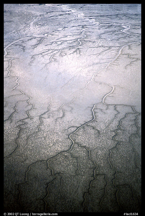 Aerial view of mud flat dendritic pattern on Cook inlet. Lake Clark National Park, Alaska, USA.