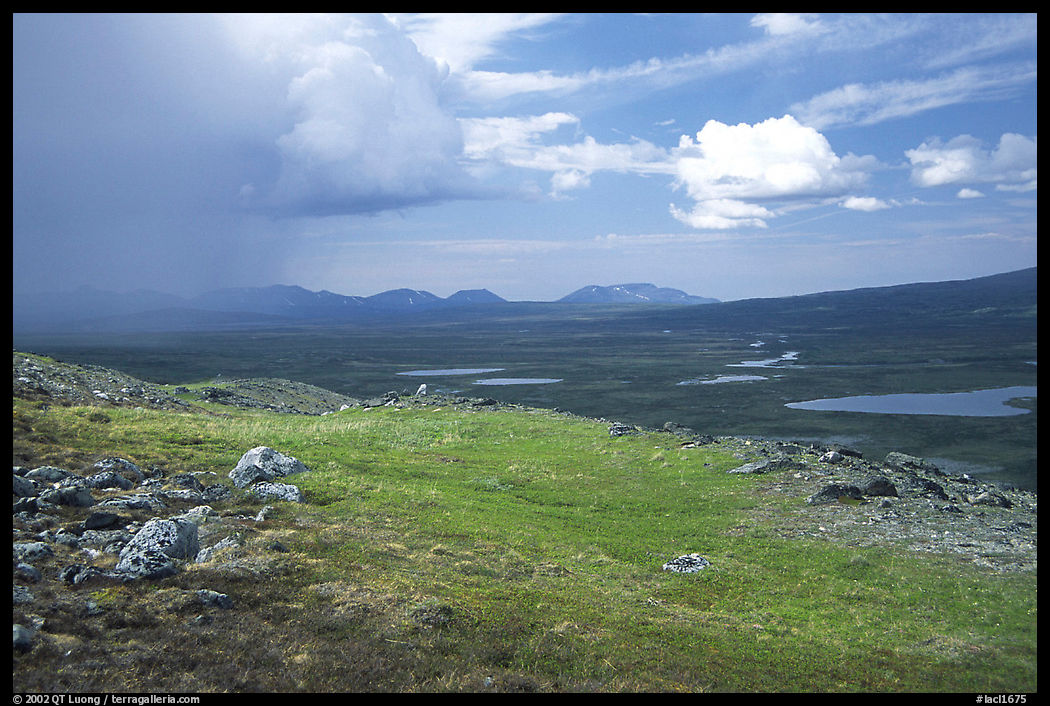 Tundra and valley with storm developping. Lake Clark National Park, Alaska, USA.
