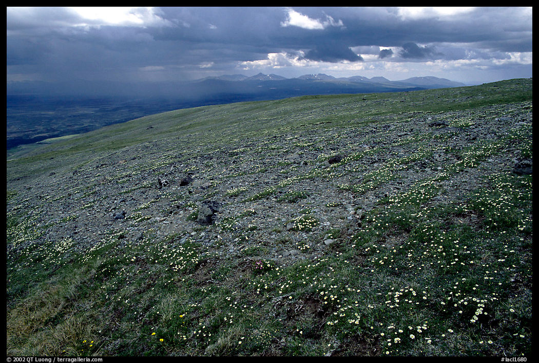 Tundra near Twin Lakes. Lake Clark National Park, Alaska, USA.