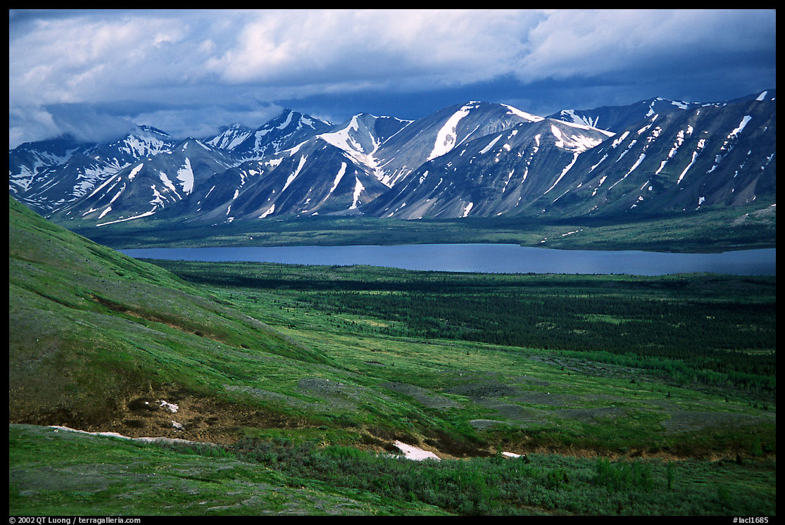 Verdant tundra, lake, and snowy mountains under clouds. Lake Clark National Park, Alaska, USA.