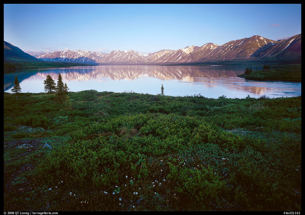 Tundra in summer with wildflowers and Twin Lake shore. Lake Clark National Park