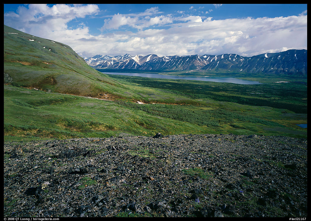 Tundra with Twin Lakes and mountains in the distance. Lake Clark National Park, Alaska, USA.