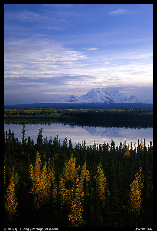 Mt Wrangell reflected in Willow lake, early morning. Wrangell-St Elias National Park