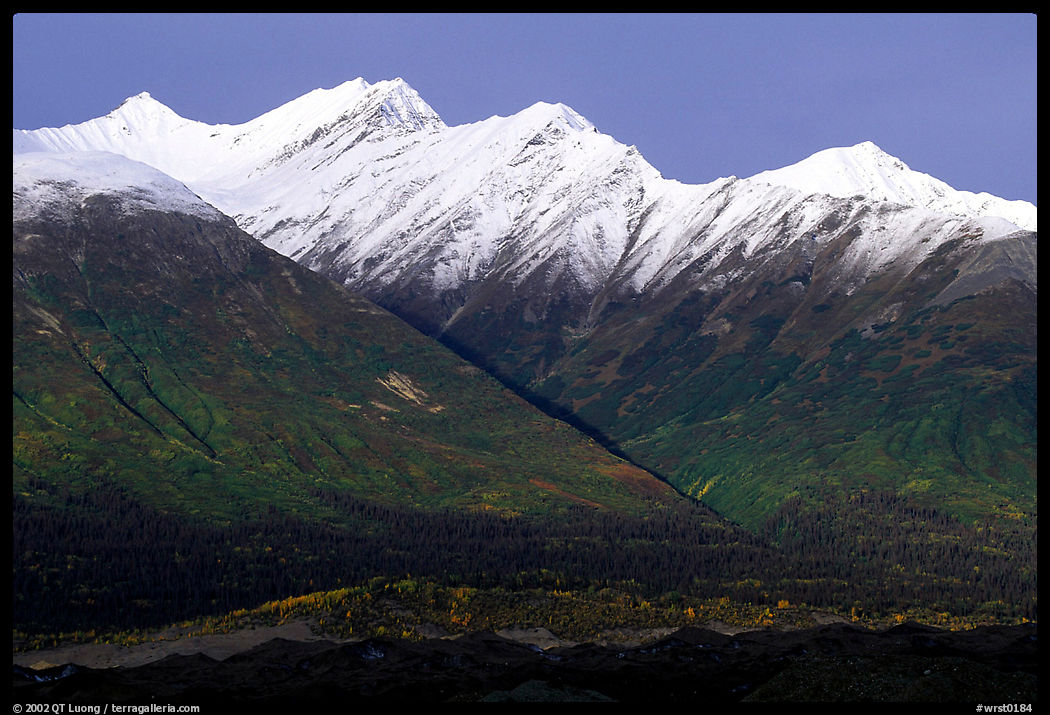 Fireweed mountains near Kennicott. Wrangell-St Elias National Park, Alaska, USA.