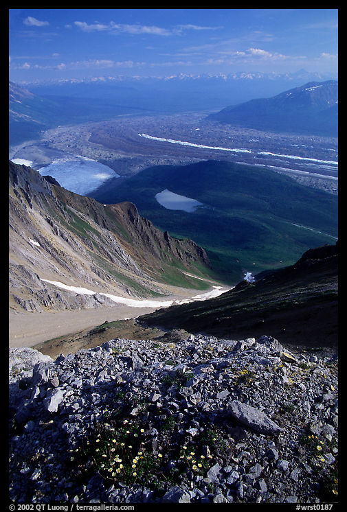 Junction of Kennicott and Root glaciers seen from Mt Donoho, late afternoon. Wrangell-St Elias National Park, Alaska, USA.