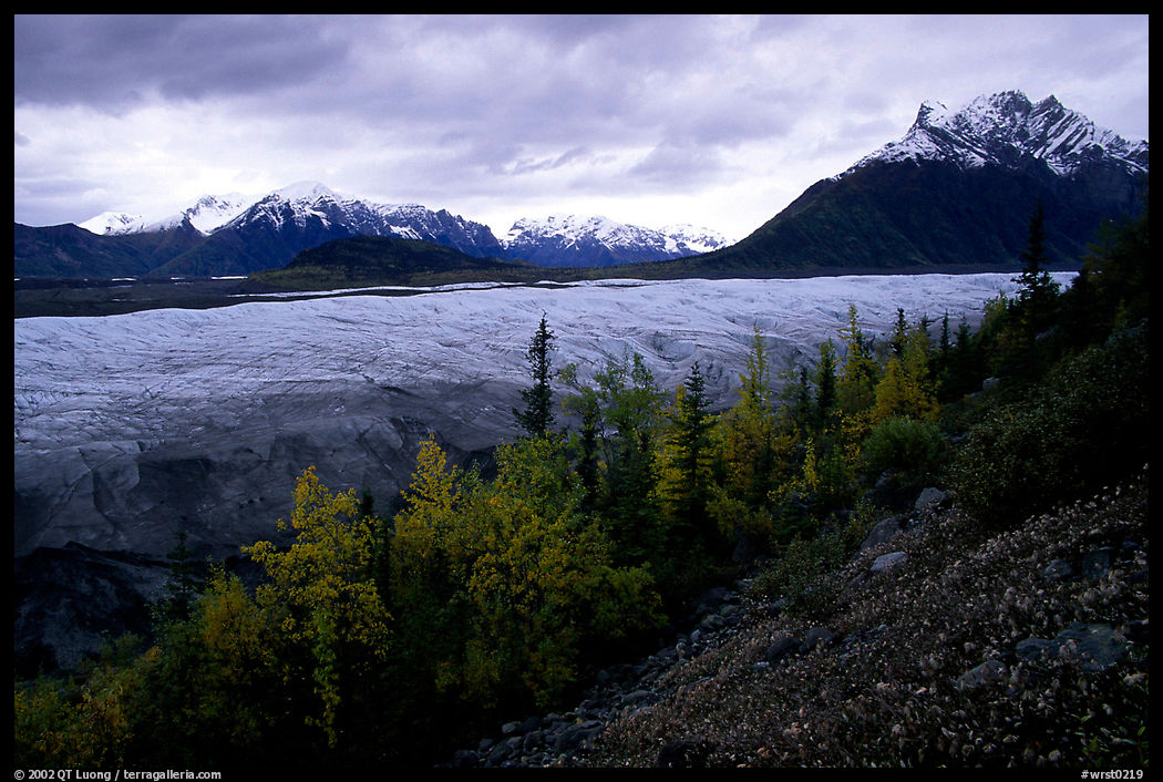Fall colors, Mt Donoho above Root glacier. Wrangell-St Elias National Park