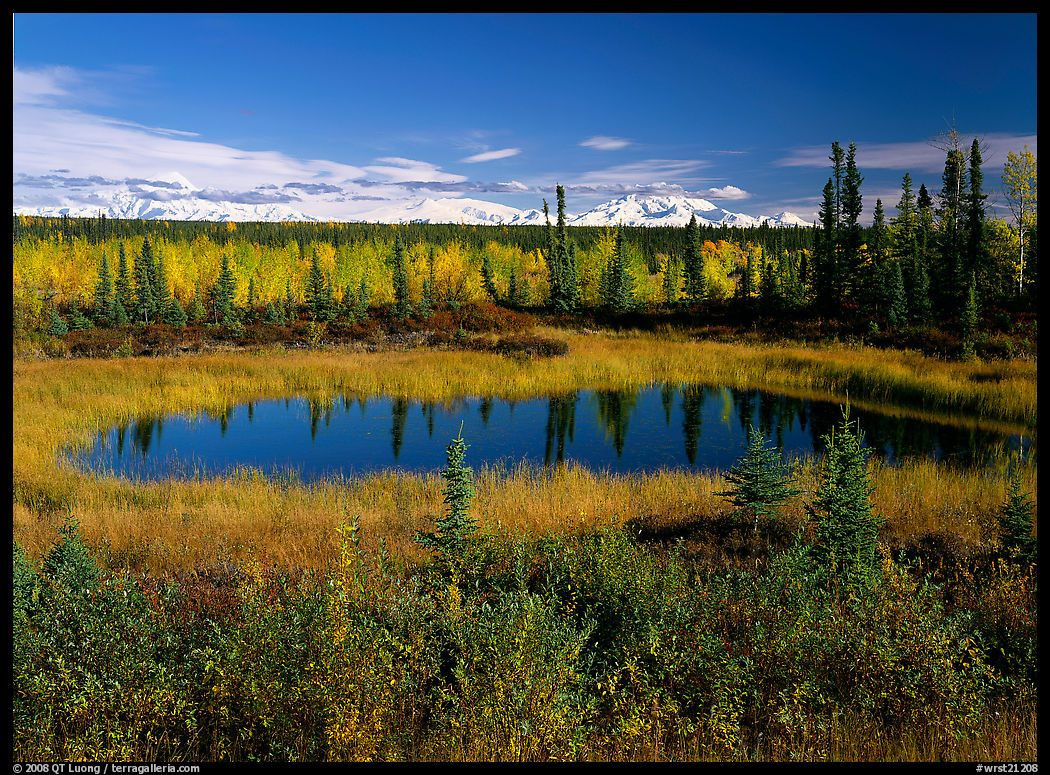Pond and Wrangell range in the distance. Wrangell-St Elias National Park, Alaska, USA.