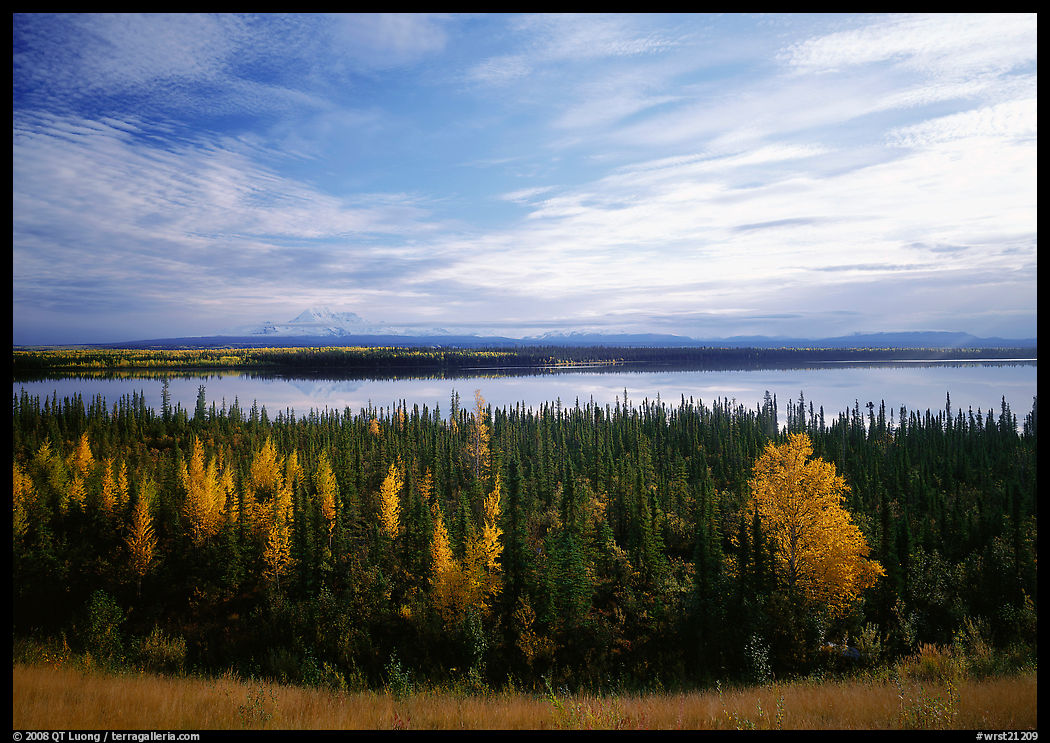 Forest, Willow Lake, and Wrangell range in the distance. Wrangell-St Elias National Park