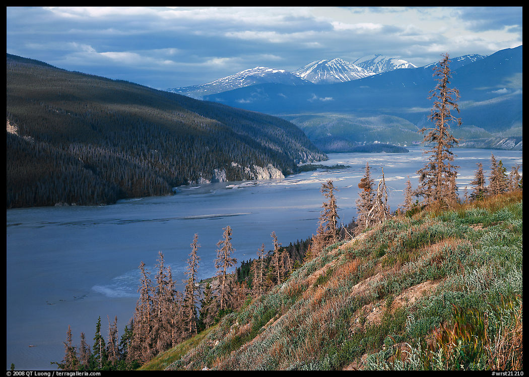 Wide Chitina river. Wrangell-St Elias National Park, Alaska, USA.