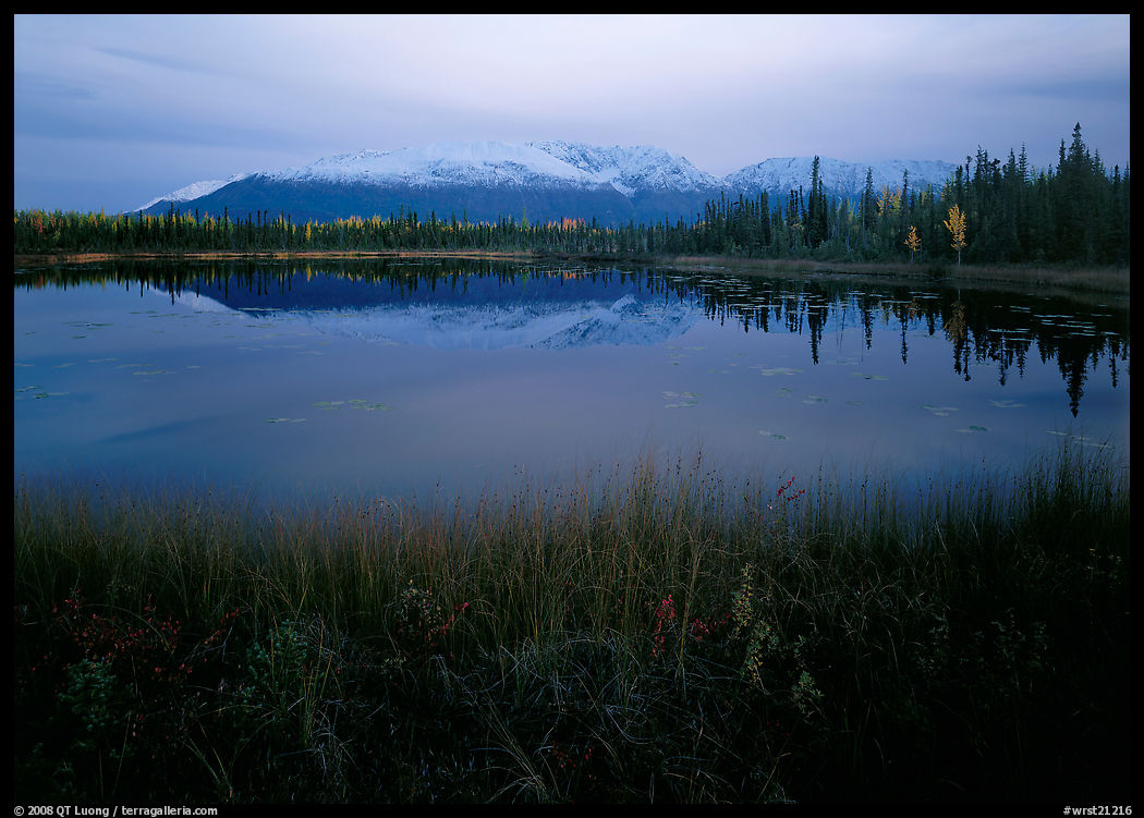 Pond with mountain reflections at dusk, near Chokosna. Wrangell-St Elias National Park, Alaska, USA.