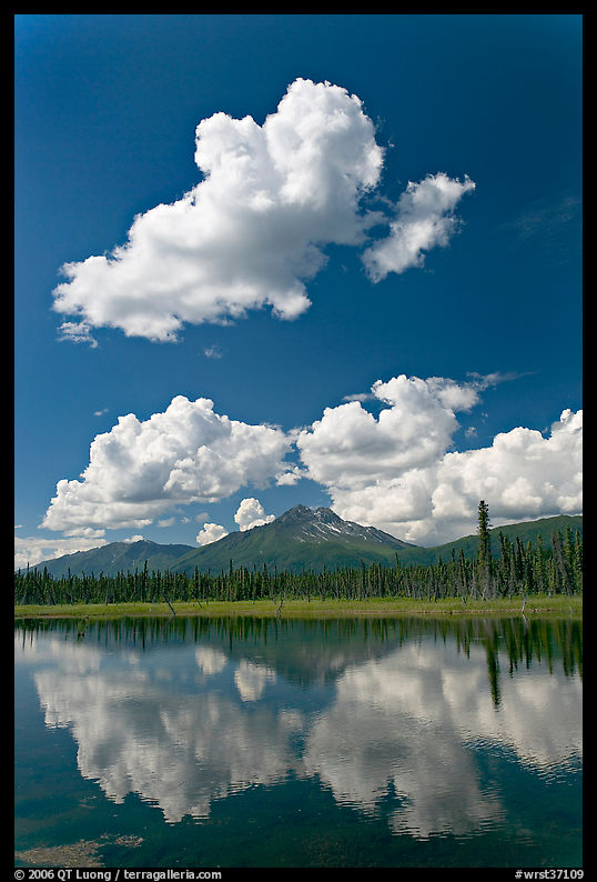 Puffy clouds reflected in lake. Wrangell-St Elias National Park, Alaska, USA.