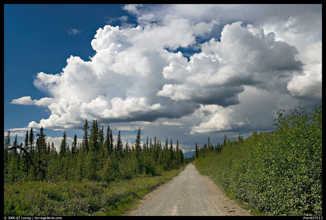 Mc Carthy road and afternoon thunderstorm clouds. Wrangell-St Elias National Park, Alaska, USA.