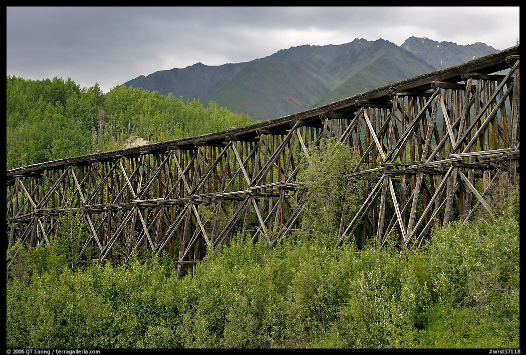 Historic Railroad trestle crossing valley. Wrangell-St Elias National Park, Alaska, USA.