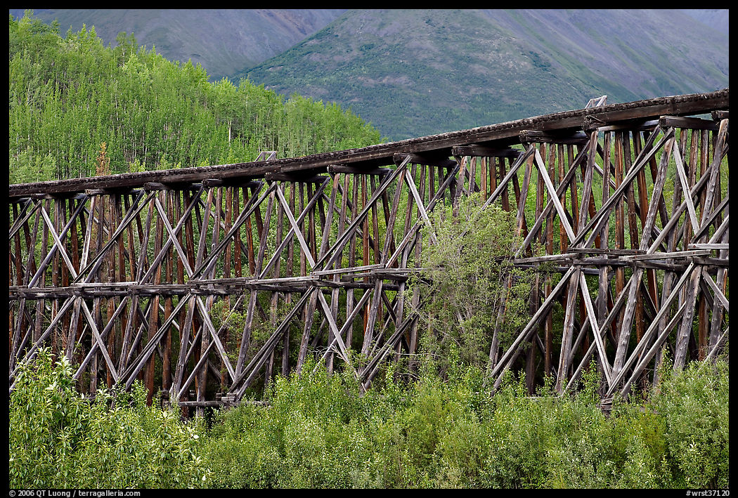 Section of Gilahina trestle constructed in 1911. Wrangell-St Elias National Park, Alaska, USA.