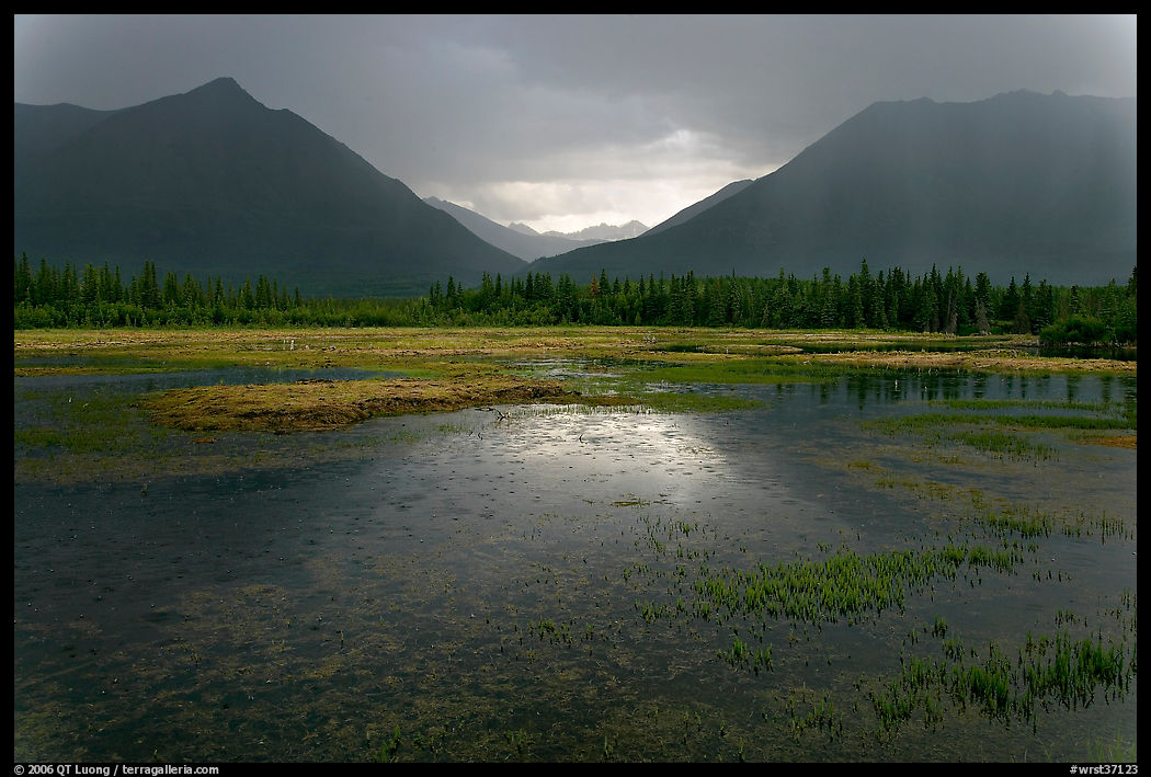 Storm light on lake. Wrangell-St Elias National Park, Alaska, USA.