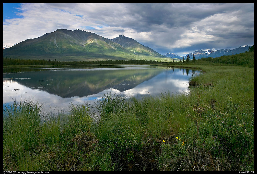 Grasses, lake, and mountains. Wrangell-St Elias National Park, Alaska, USA.