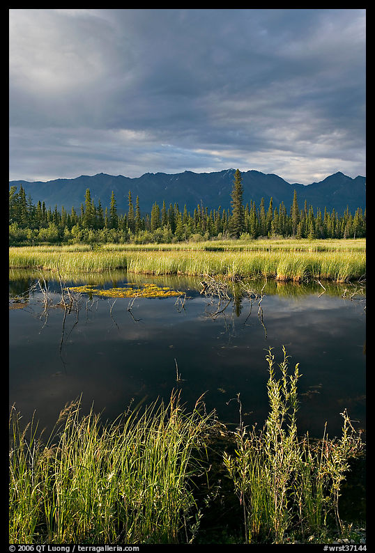 Pond, tundra and mountains. Wrangell-St Elias National Park, Alaska, USA.