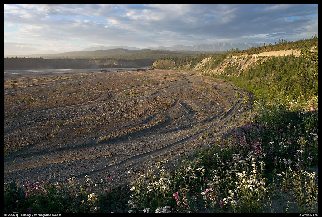 River plain of the Kotsina. Wrangell-St Elias National Park, Alaska, USA.