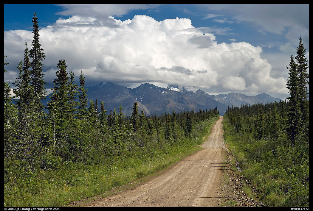 Nabesna Road, mid-afternoon. Wrangell-St Elias National Park, Alaska, USA.