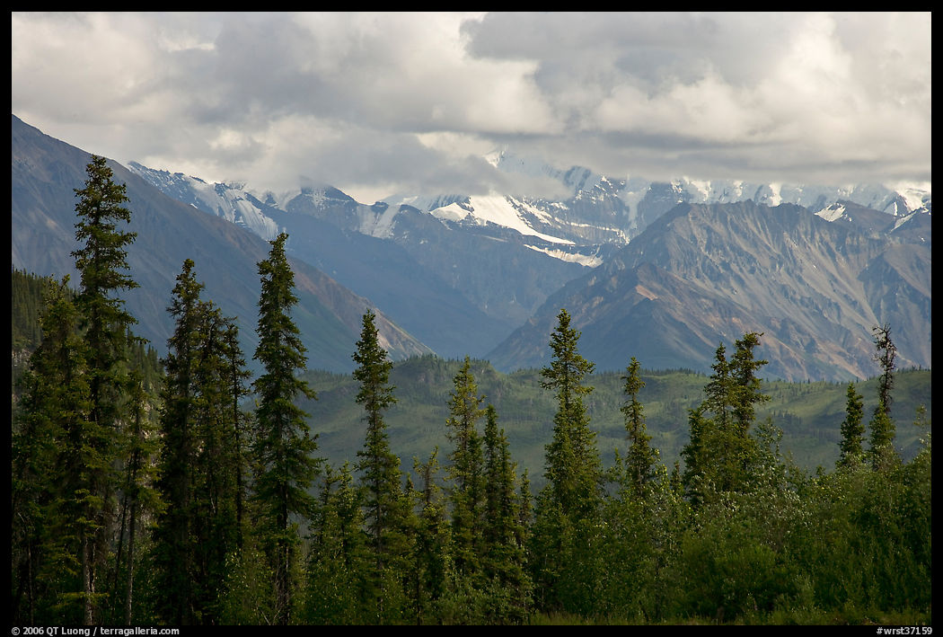 Spruce and Nutzotin Mountains. Wrangell-St Elias National Park, Alaska, USA.