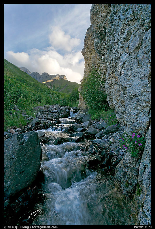 Stream and cliff, Skokum Volcano. Wrangell-St Elias National Park, Alaska, USA.