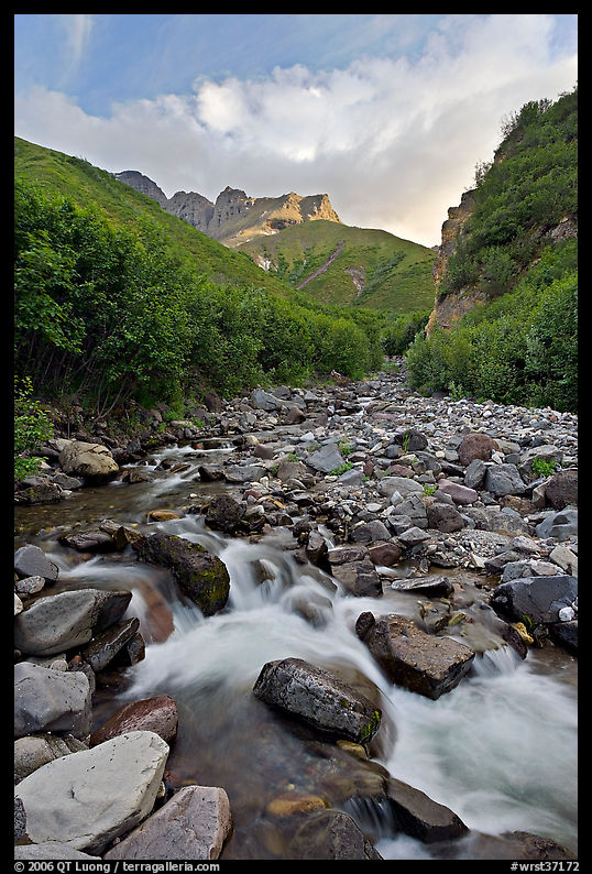Stream, Skokum Volcano. Wrangell-St Elias National Park