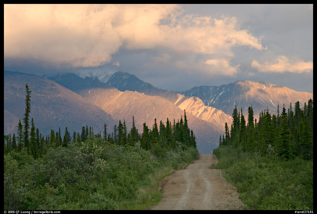 Gravel road leading to mountains lit by sunset light. Wrangell-St Elias National Park, Alaska, USA.