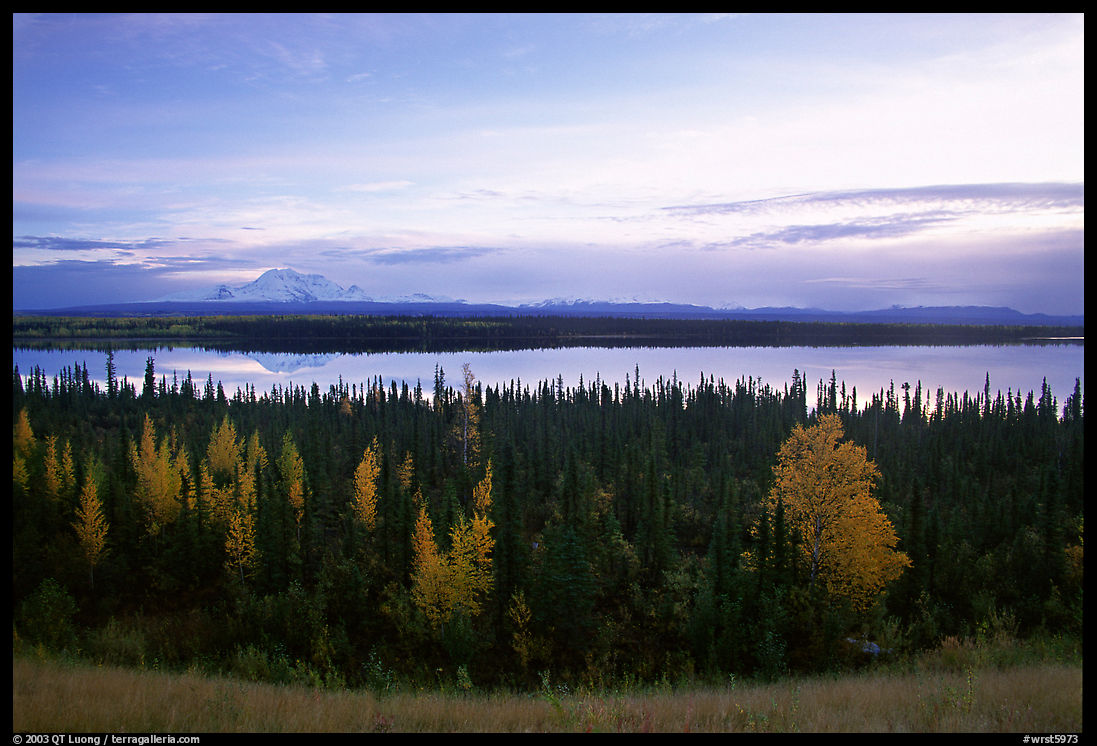 Mt Wrangell and Willow Lake, morning. Wrangell-St Elias National Park, Alaska, USA.