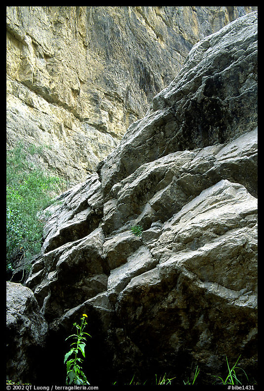 Rocks in Santa Elena Canyon. Big Bend National Park