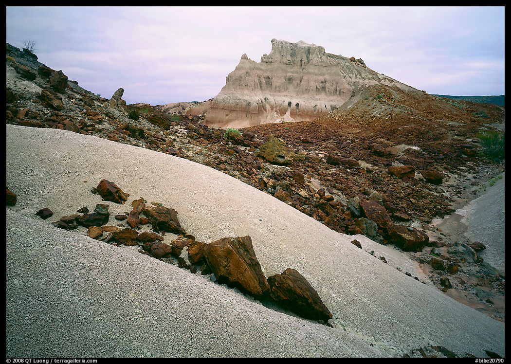 Low white mounds of compacted volcanic ash near Tuff Canyon. Big Bend National Park