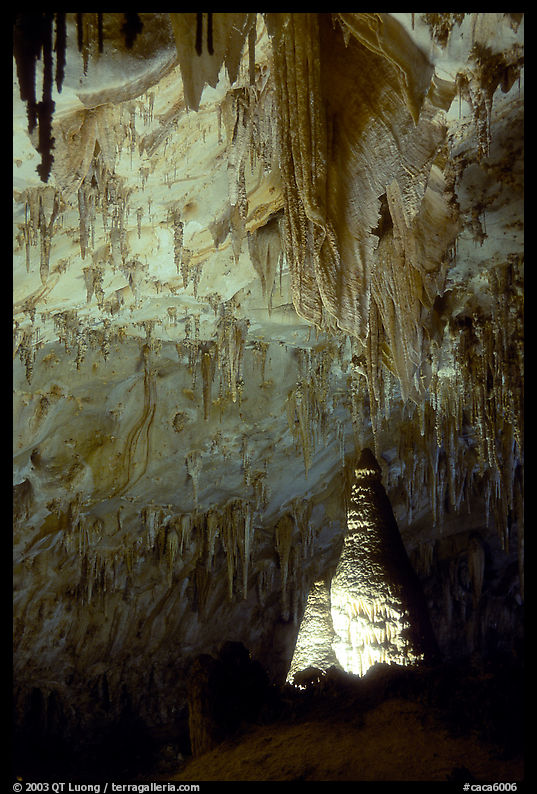 Delicate stalactites in Papoose Room. Carlsbad Caverns National Park