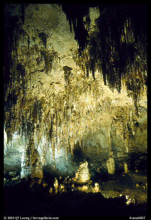 Fine Stalactites growing from ceiling of Papoose Room. Carlsbad Caverns National Park