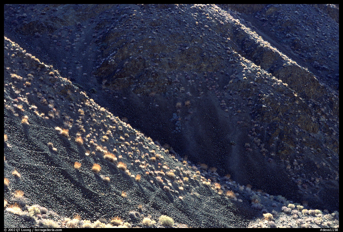 Hillsides and sagebrush. Death Valley National Park