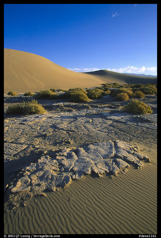 Mud formations in the Mesquite sand dunes, early morning. Death Valley National Park, California, USA.