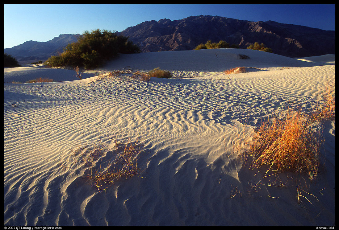 Mesquite Sand Dunes and Tucki mountain, early morning. Death Valley National Park, California, USA.