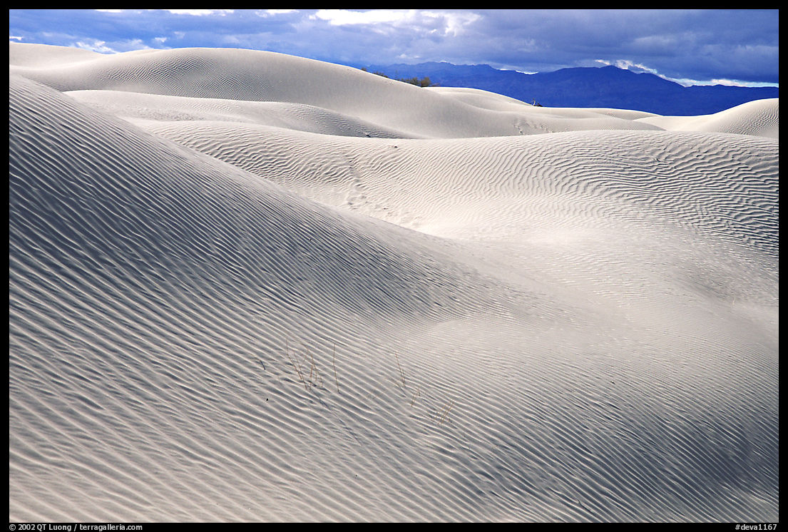 Mesquite Sand Dunes, morning. Death Valley National Park, California, USA.