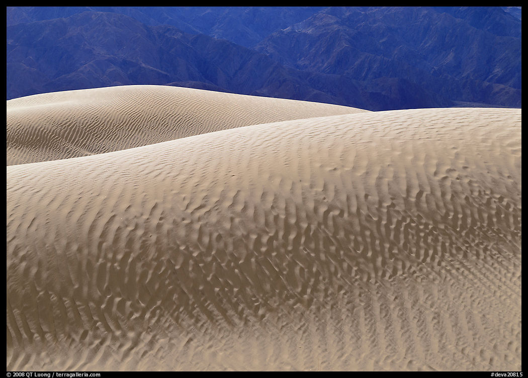Ripples on Mesquite Sand Dunes, morning. Death Valley National Park, California, USA.