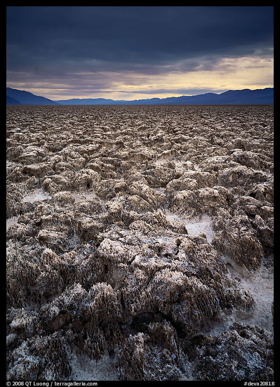Salt pinnacles at Devils Golf Course. Death Valley National Park, California, USA.