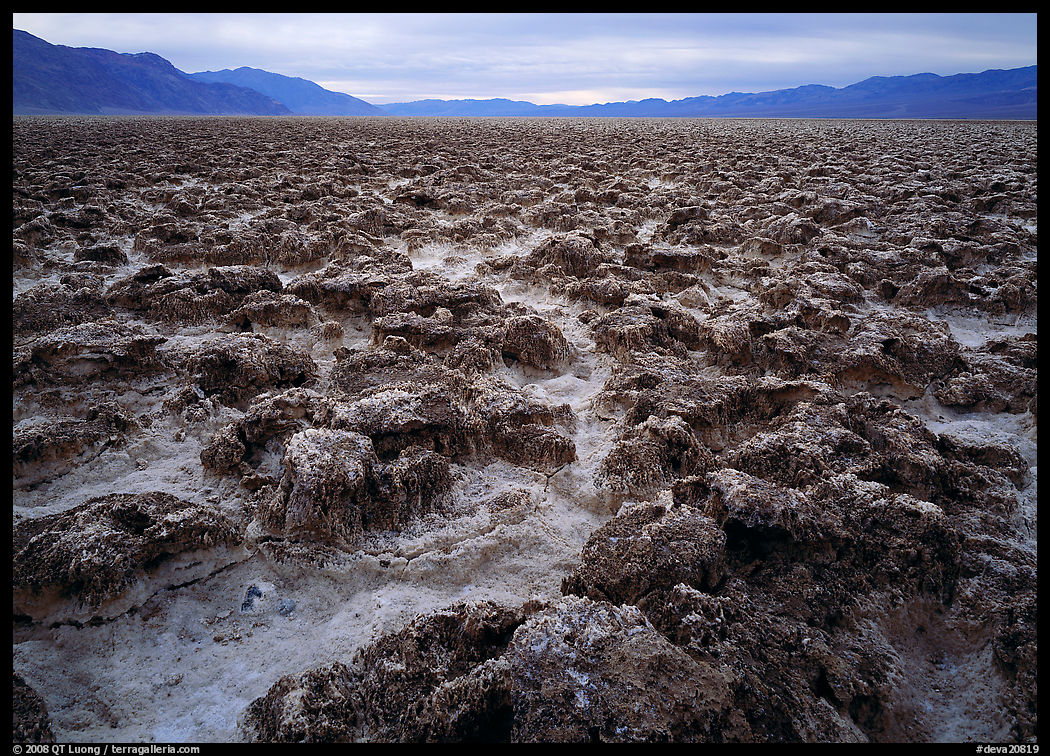 Lumpy salts of Devils Golf Course. Death Valley National Park, California, USA.