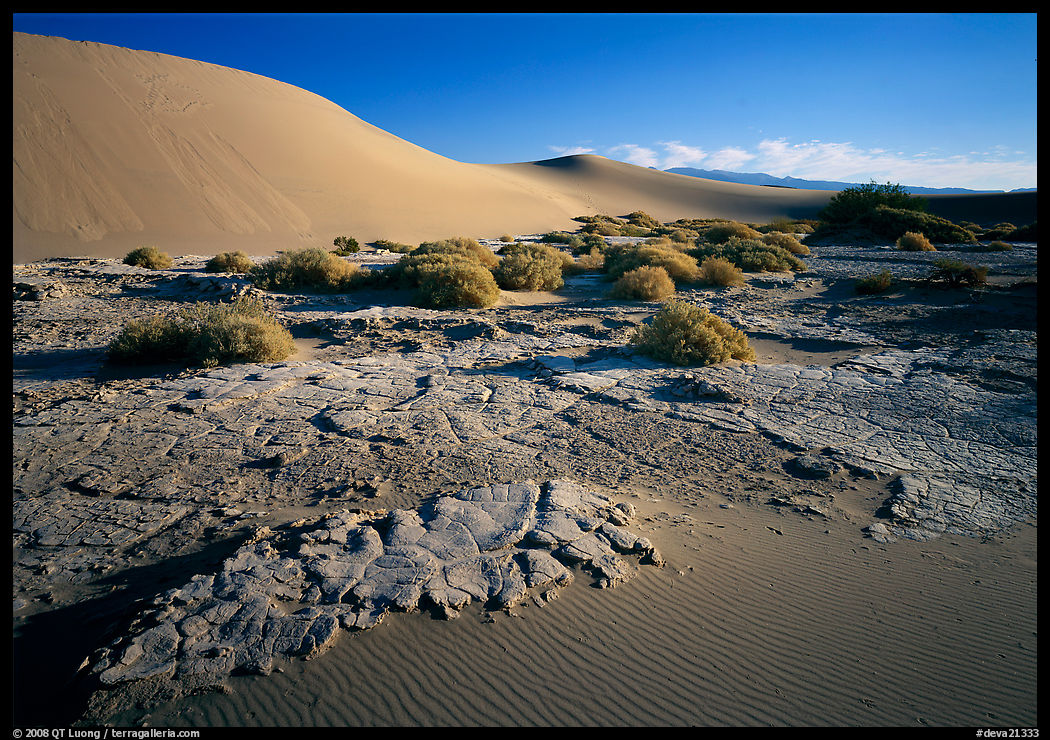 Mud formations in the Mesquite sand dunes, early morning. Death Valley National Park, California, USA.