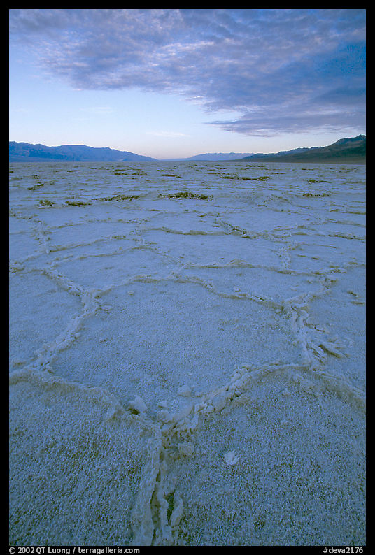Hexagonal stress tiles on saltpan near Badwater, sunrise. Death Valley National Park, California, USA.
