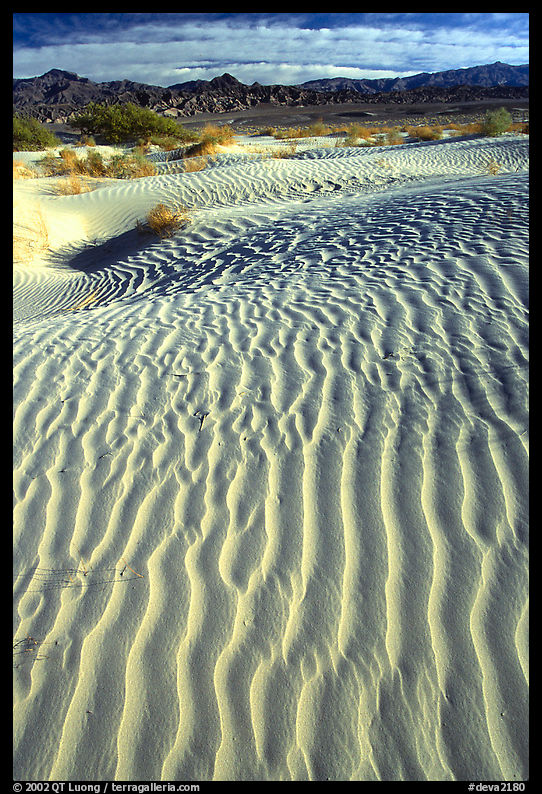 Ripples on Mesquite Sand Dunes. Death Valley National Park, California, USA.