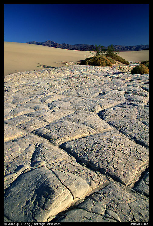 Dried mud formations in Mesquite Sand Dunes, early morning. Death Valley National Park, California, USA.